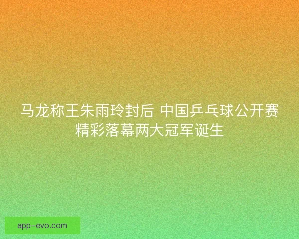 马龙称王朱雨玲封后 中国乒乓球公开赛精彩落幕两大冠军诞生